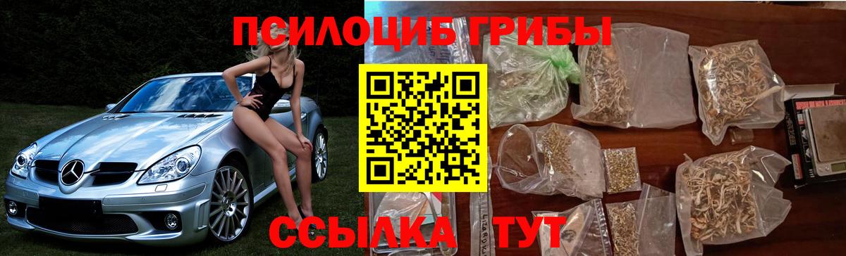 Галлюциногенные грибы Psilocybine cubensis  Псилоцибиновые грибы Cubensis  Вход с VPN  Выкса 